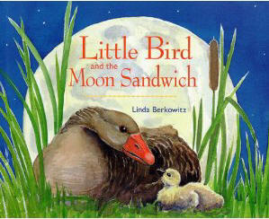 Little Bird and the Moon Sandwich